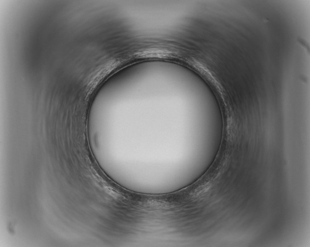 X0000100410529200806131038