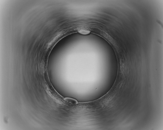 X0000100410530200806131038