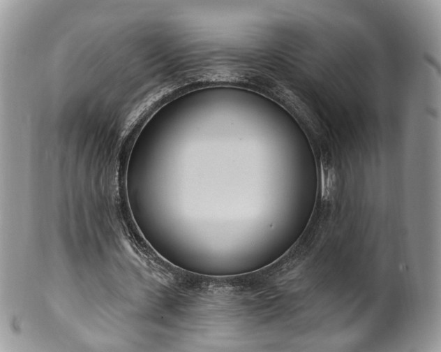 X0000100410531200806131038