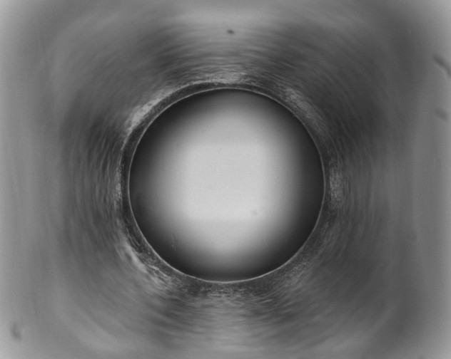 X0000100410532200806131038