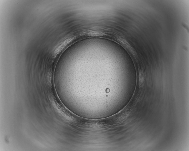 X0000100410533200806131038