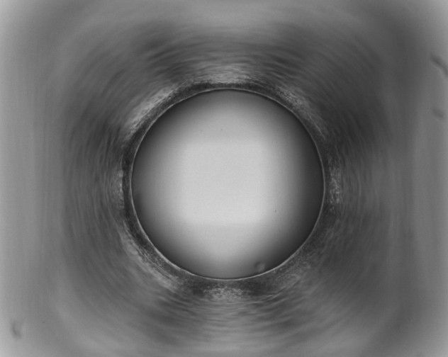 X0000100410535200806131038