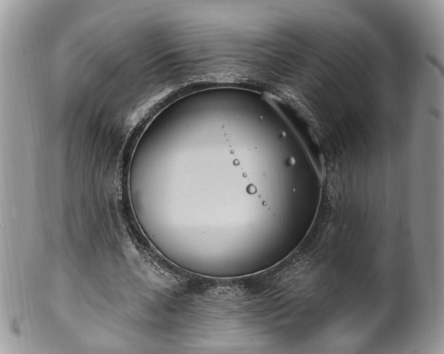 X0000100410536200806131038