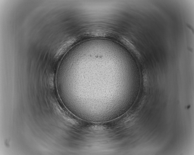 X0000100410537200806131038