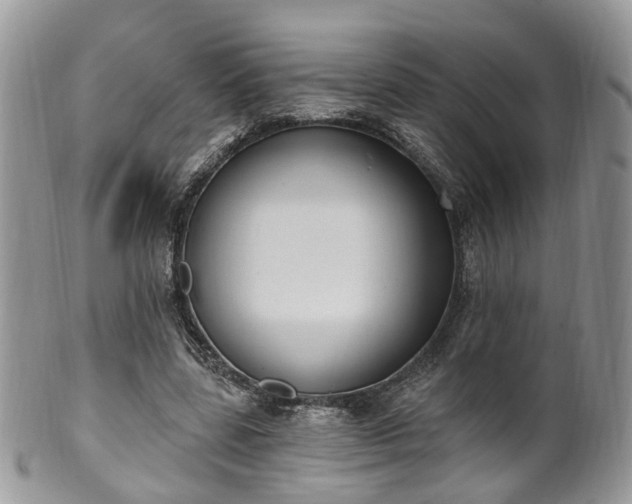 X0000100410539200806131038