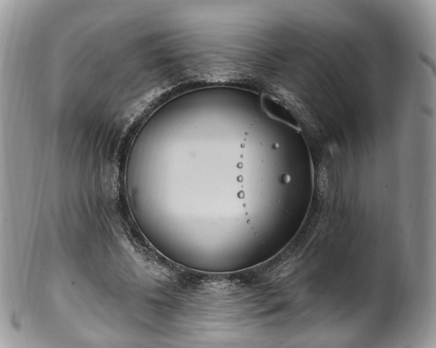 X0000100410540200806131038