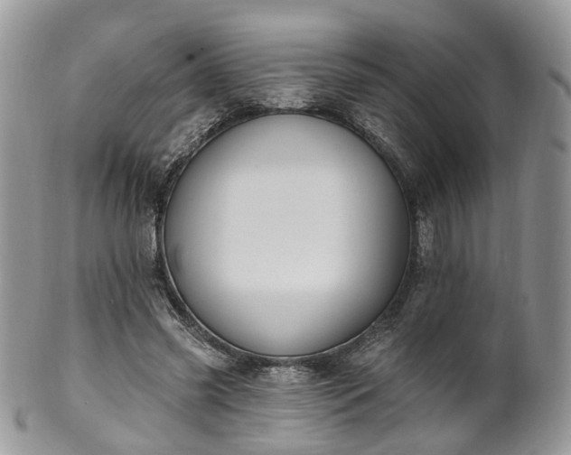 X0000100410541200806131038