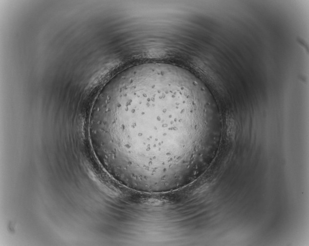 X0000100410542200806131038