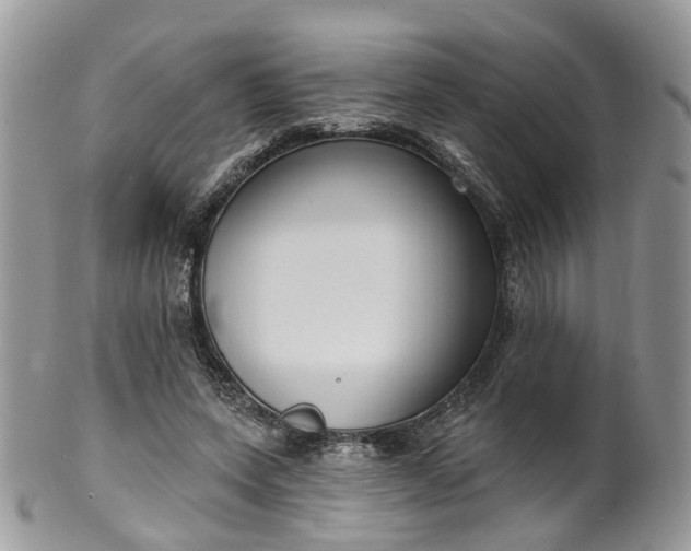 X0000100410543200806131038