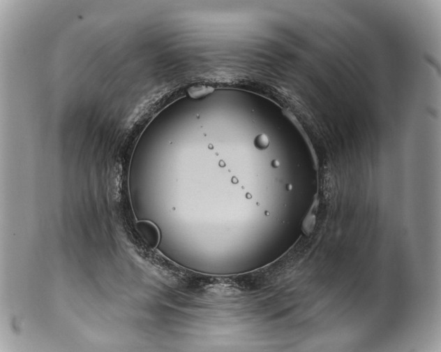 X0000100410544200806131038