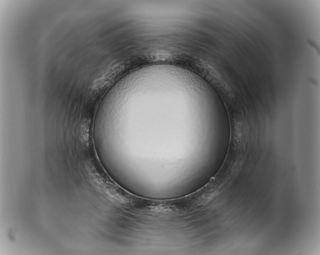 X0000100410545200806131038