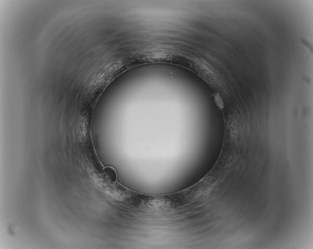 X0000100410546200806131038