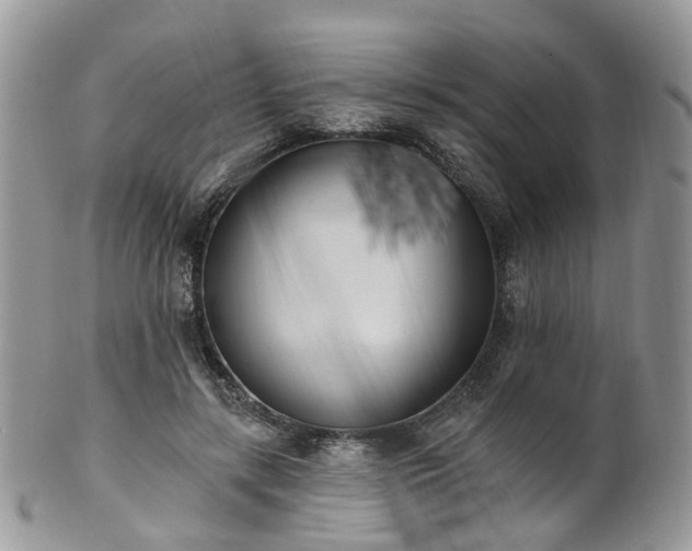 X0000100410547200806131038