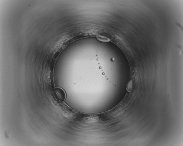 X0000100410548200806131038