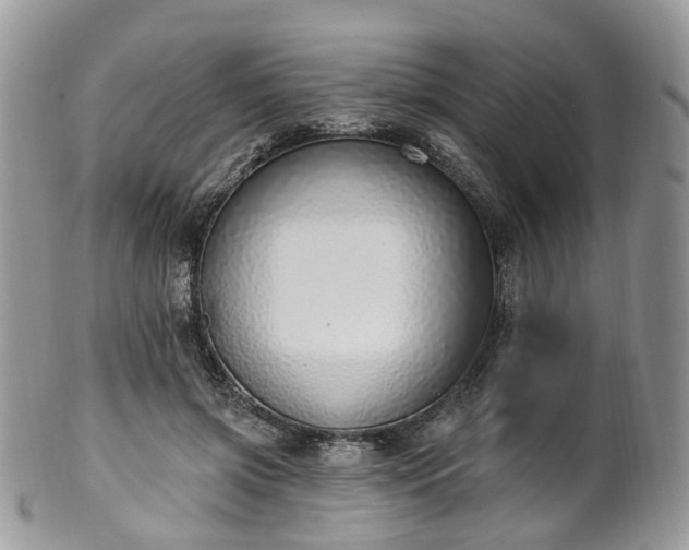 X0000100410549200806131038