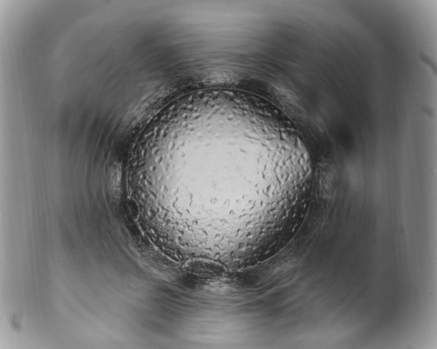 X0000100410550200806131038