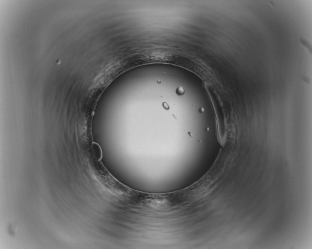 X0000100410552200806131038