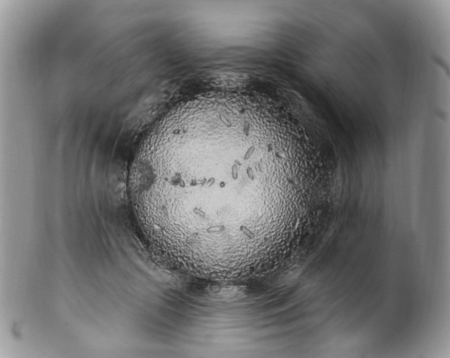 X0000100410553200806131038