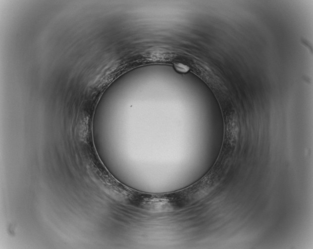 X0000100410554200806131038