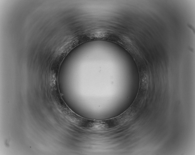 X0000100410555200806131038