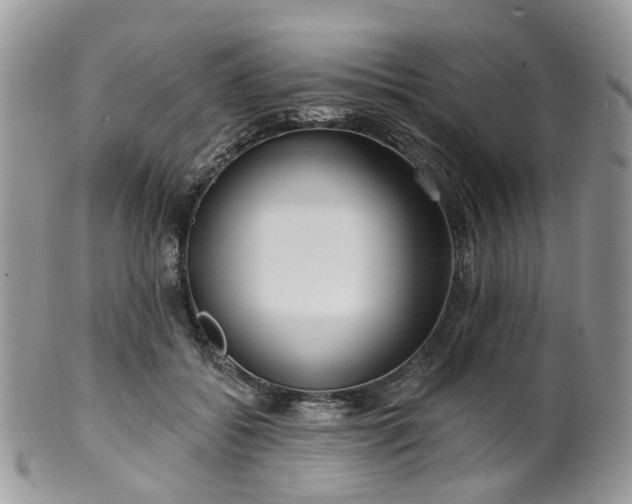 X0000100410556200806131038