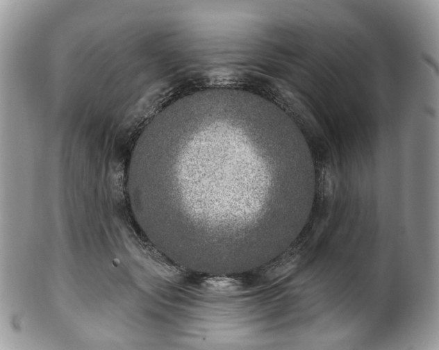 X0000100410557200806131038