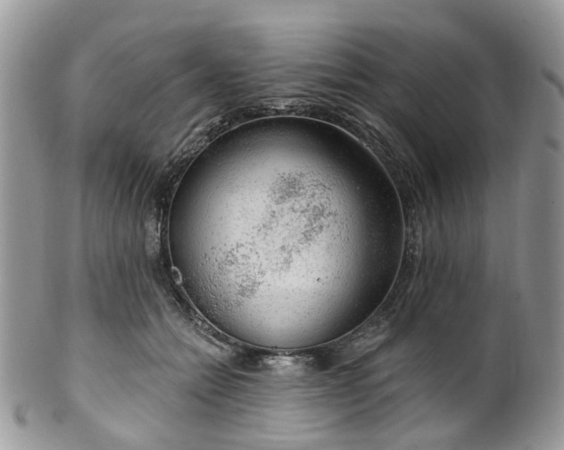 X0000100410558200806131038