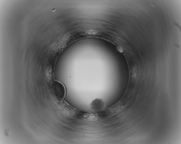 X0000100410559200806131038