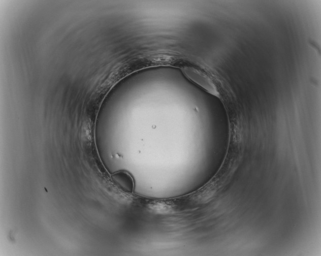 X0000100410561200806131038