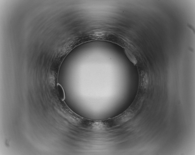 X0000100410562200806131038