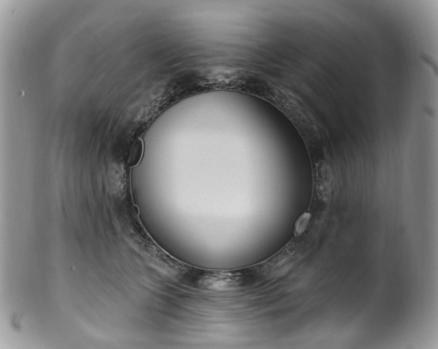 X0000100410563200806131038