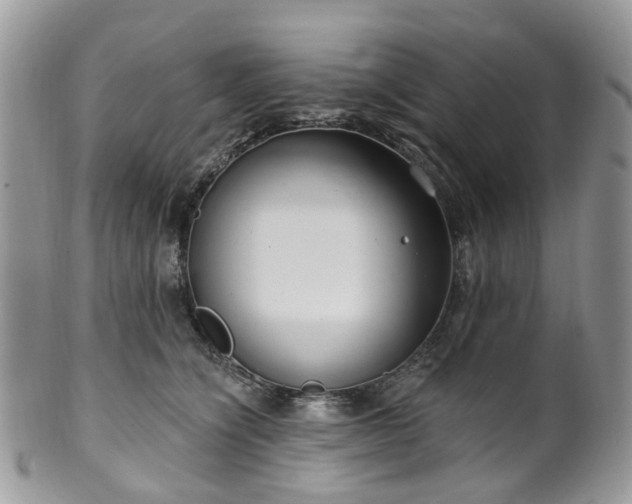 X0000100410564200806131038