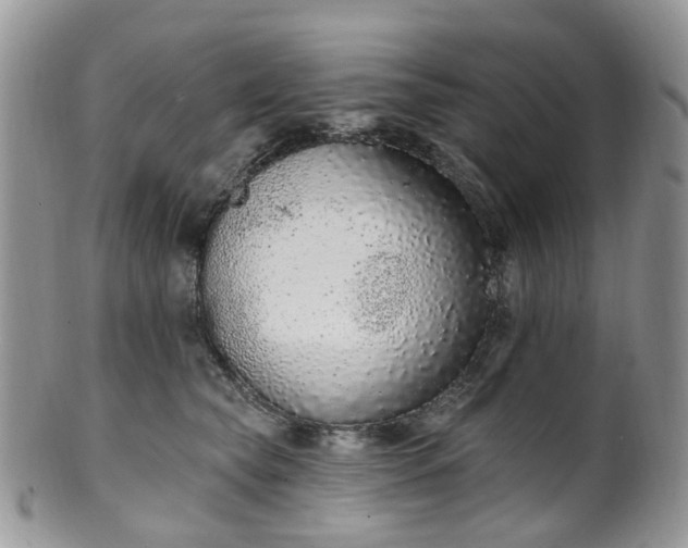 X0000100410565200806131038