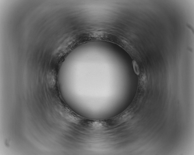 X0000100410566200806131038