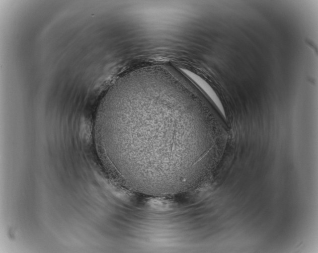 X0000100410568200806131038