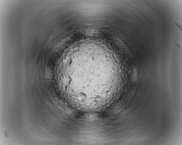 X0000100410569200806131038