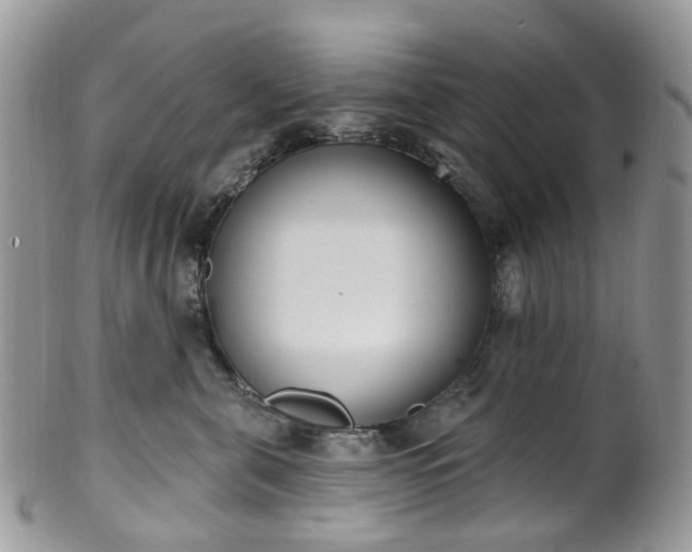 X0000100410571200806131038