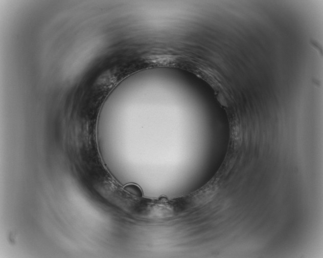 X0000100410572200806131039