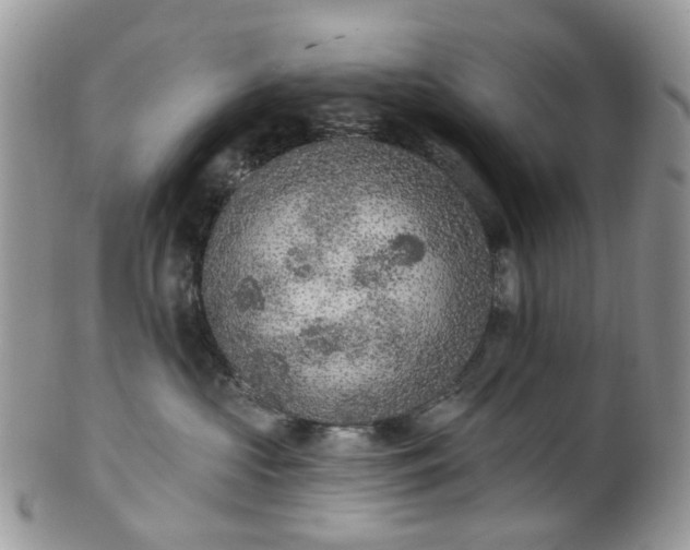 X0000100410573200806131039