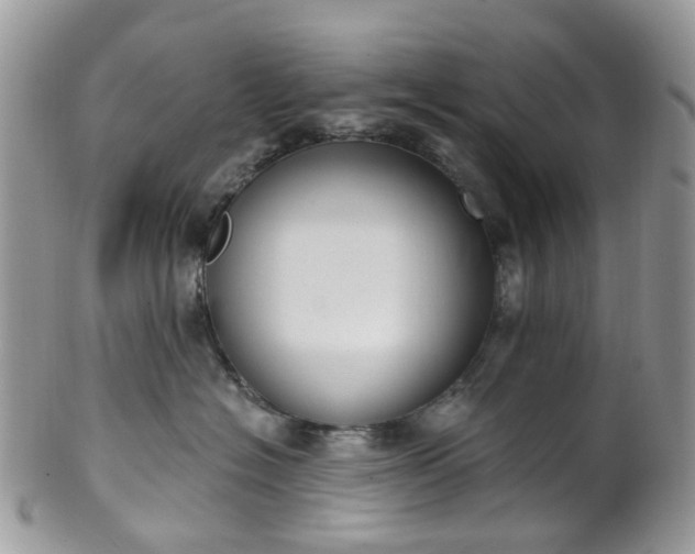 X0000100410574200806131039