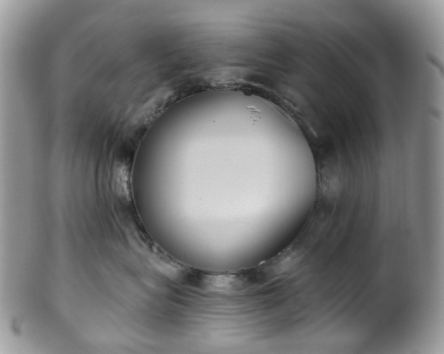 X0000100410575200806131039