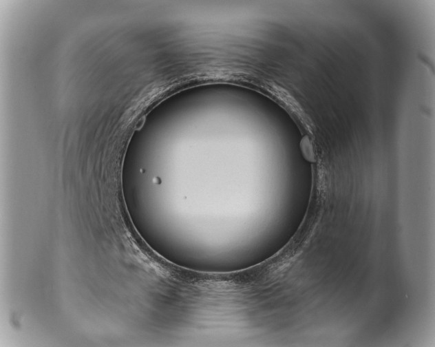 X0000100410577200806131038