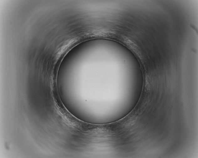 X0000100410578200806131038