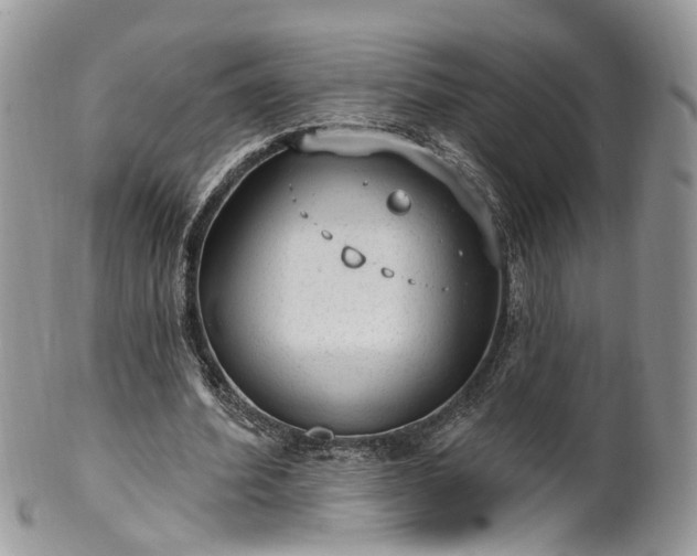 X0000100410580200806131038