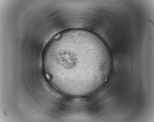 X0000100410584200806131038