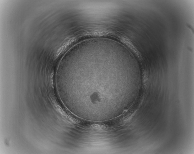 X0000100410585200806131038