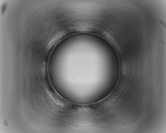 X0000100410586200806131038