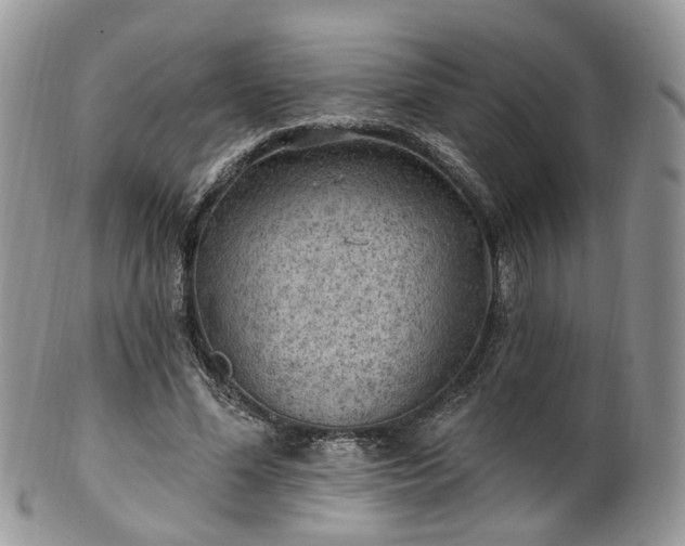 X0000100410588200806131038