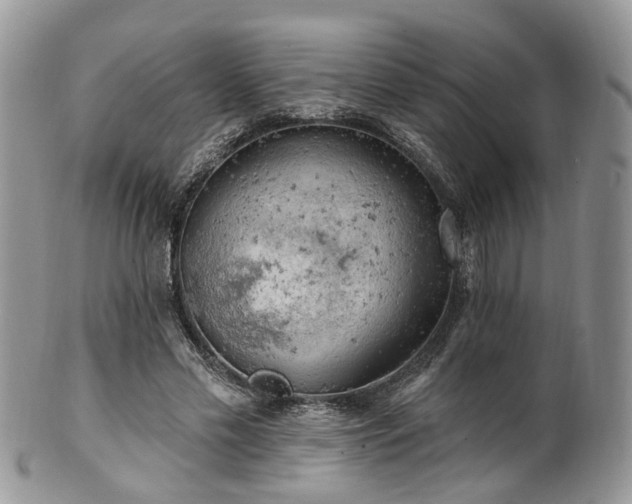 X0000100410589200806131038