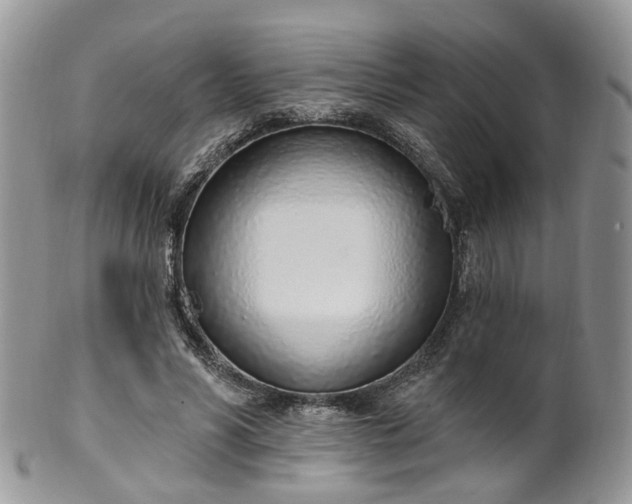 X0000100410590200806131038